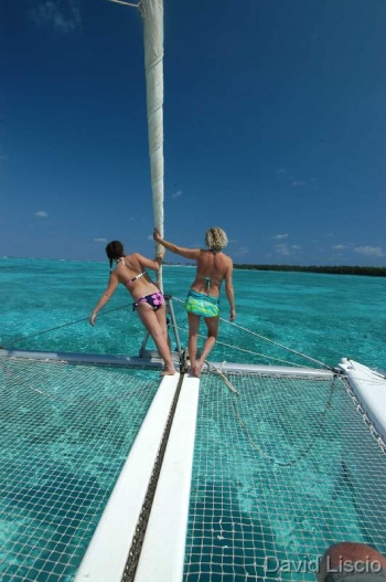 Catamaran DORIS - On Charter