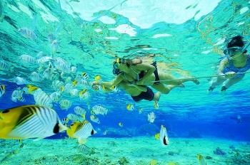 Catamaran DORIS - Snorkelling in Belize