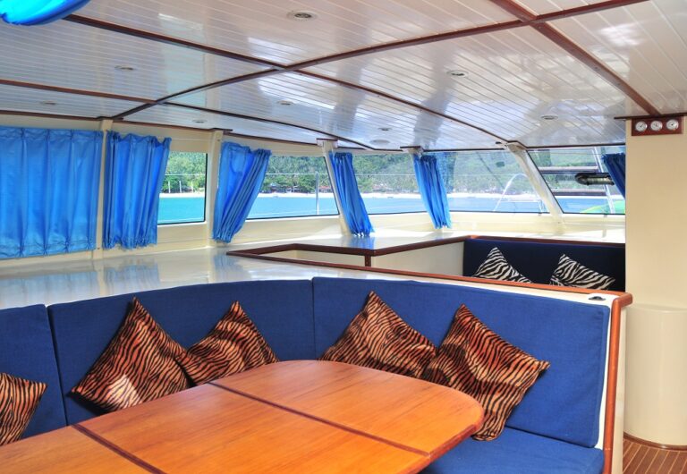 Catamaran NAUTINESS II  -  Salon