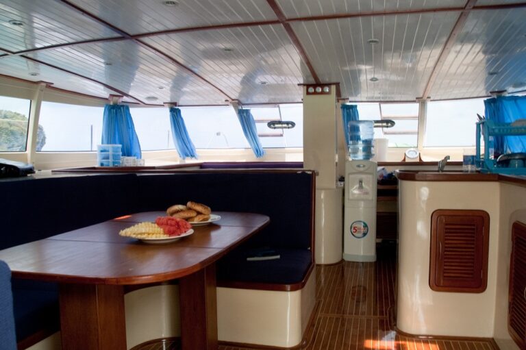Catamaran NAUTINESS II  -  Salon looking forward