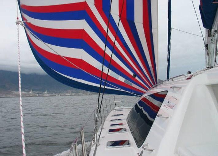 Catamaran SEA LEOPARD -  With Spinaker