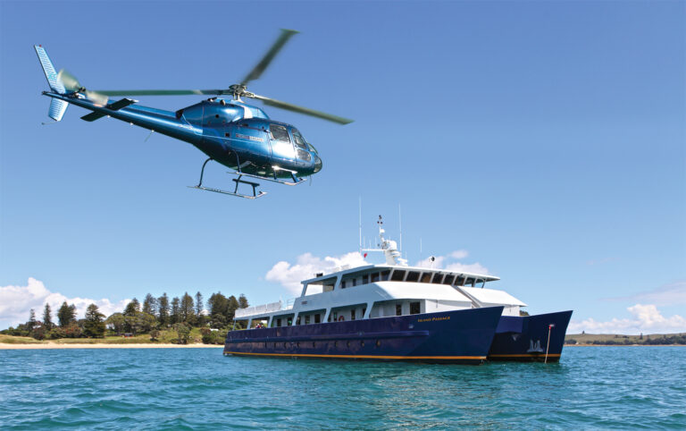 Chopper - Ship