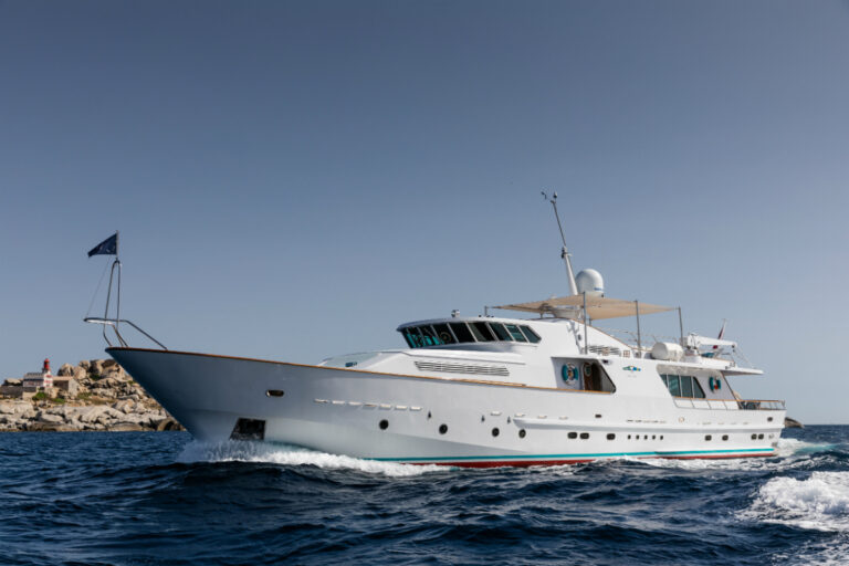 Crn Ancona