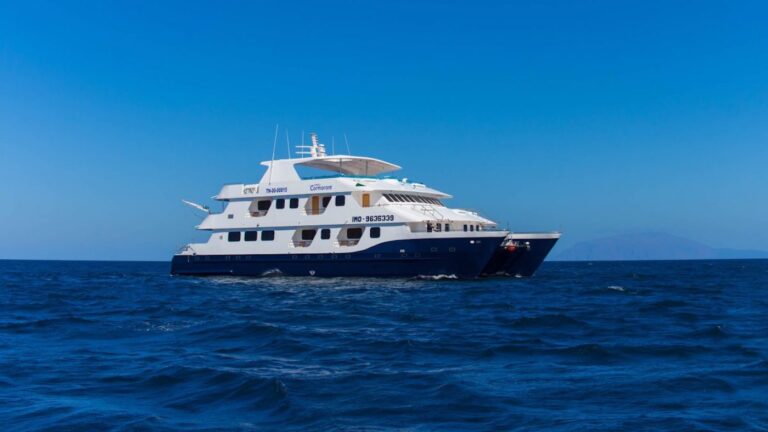 Cormorant Catamaran Yacht
