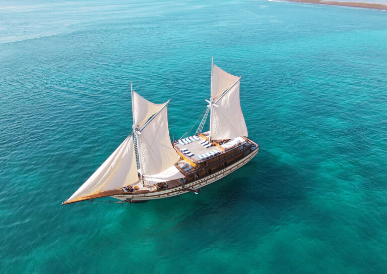 Cruising With Sails Up