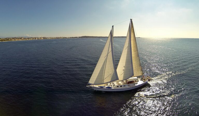DAME DES TROPIQUES Exterior