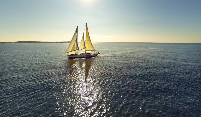 DAME DES TROPIQUES  Sailing