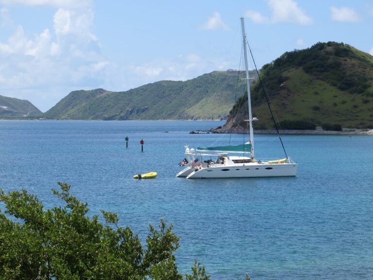DELPHINE -  On Charter