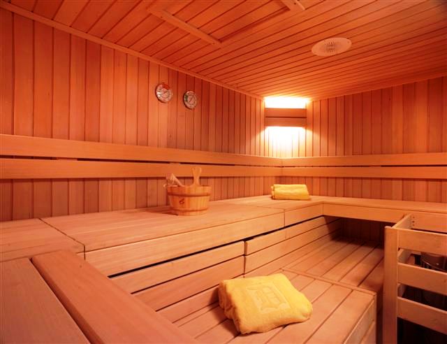 DELPHINE - Sauna