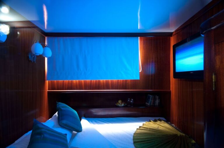 DREAM VOYAGER -  Guest Cabin