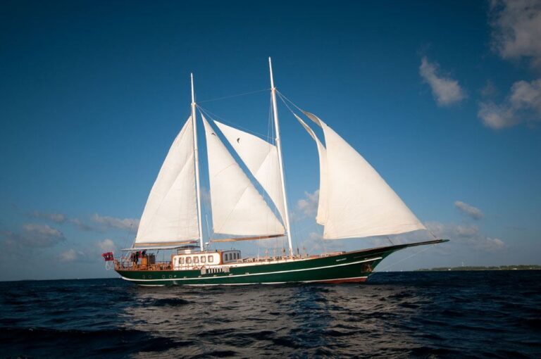 DREAM VOYAGER -  Main