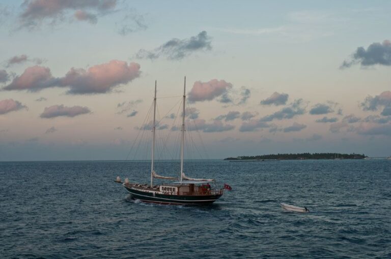 DREAM VOYAGER -  Motoring