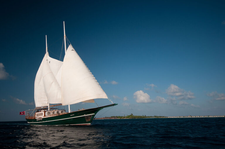 DREAM VOYAGER -exterior