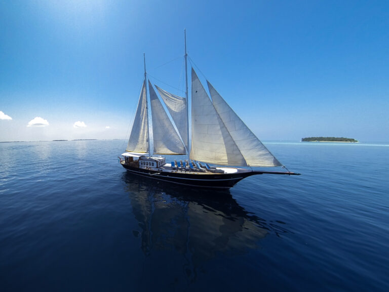 DREAM VOYAGER Exterior