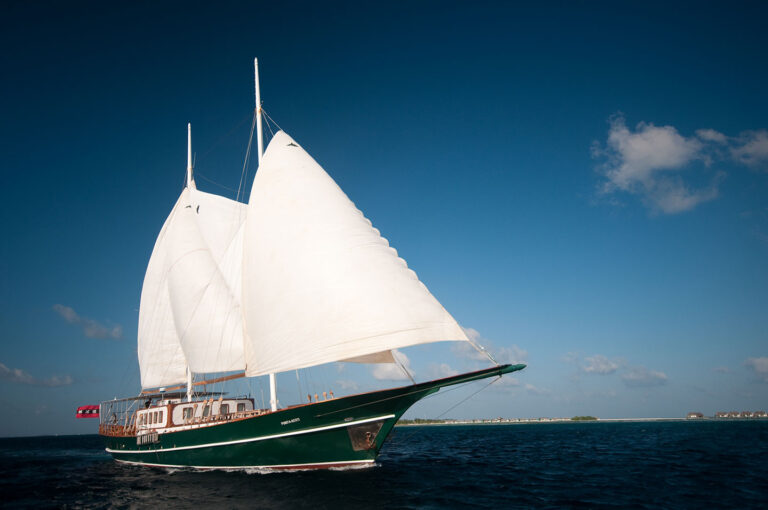 DREAMVOYAGER
