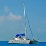 SAILFISH