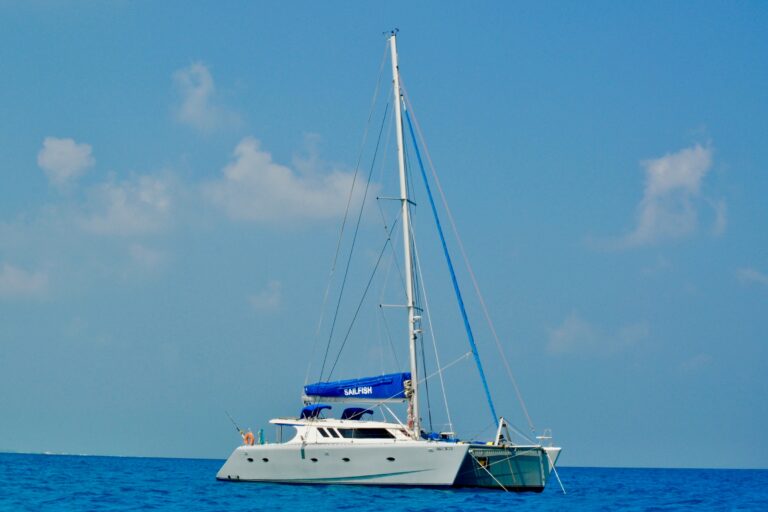 SAILFISH