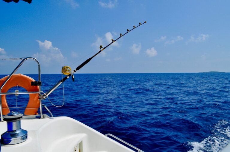 Fishing