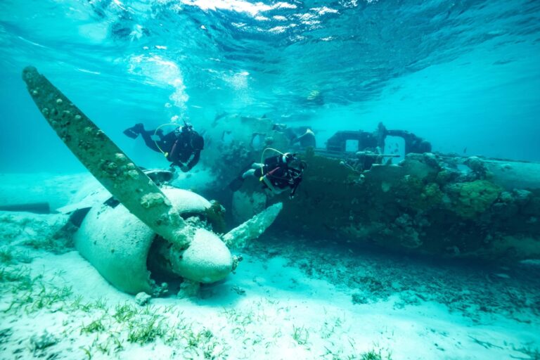 Diving Area