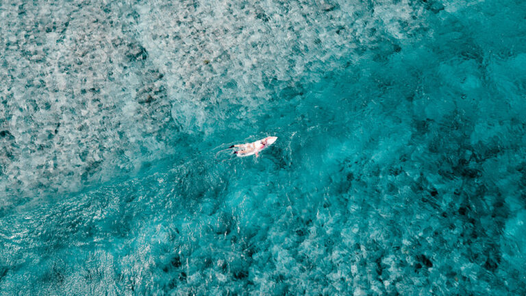 Diving Experience