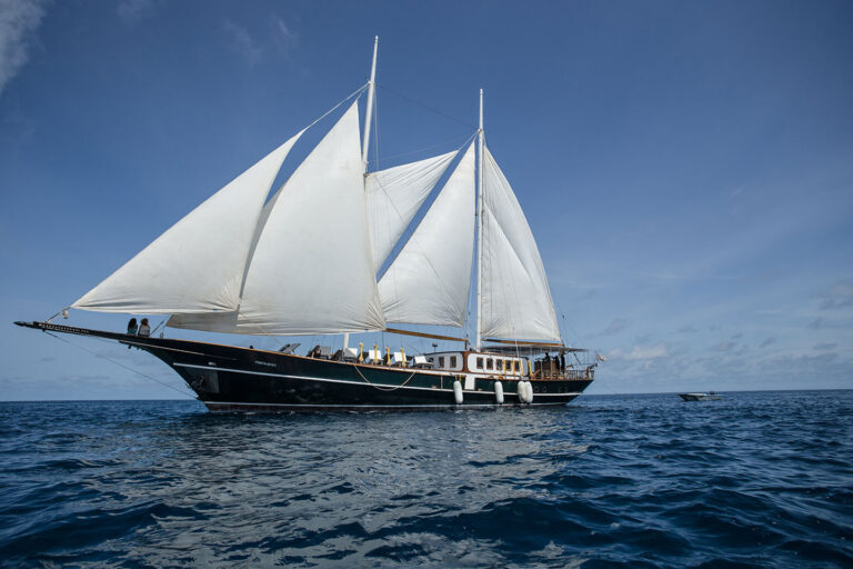 Dream-Voyager Underway