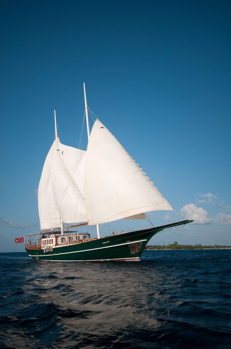 DreamVoyager Sailing