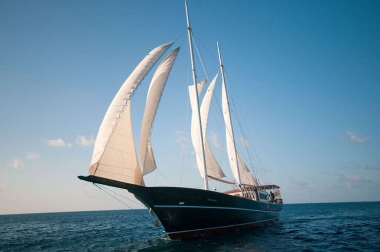 DreamVoyager-sailing