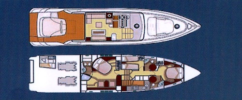 Duke -  Layout