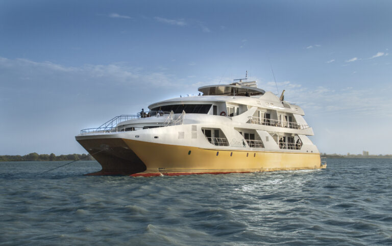 ELITE Catamaran Yacht
