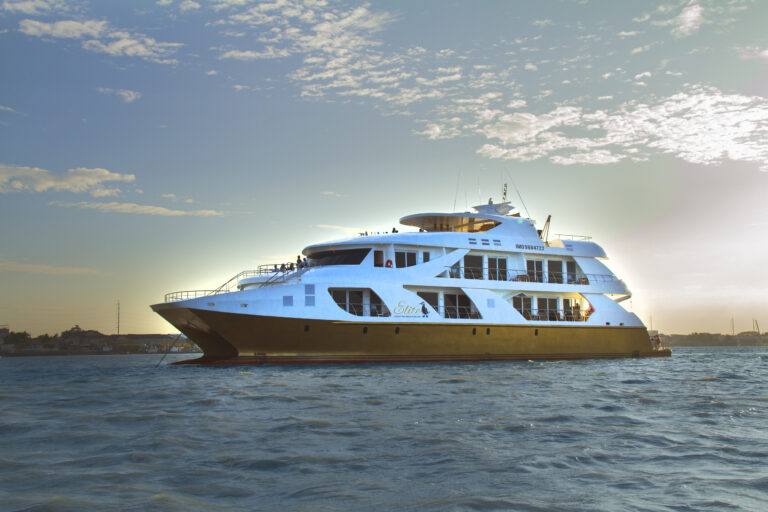 ELITE Super Catamaran