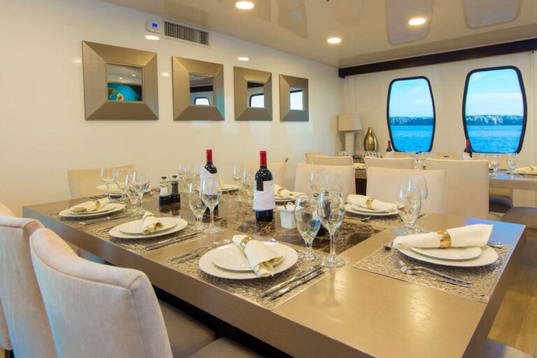 Elegant Dining Set Up