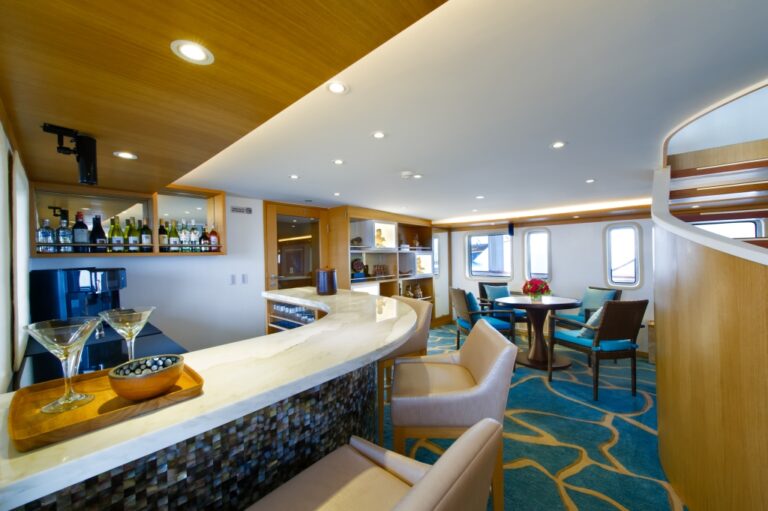 Expedition yacht SALILA -  Bar