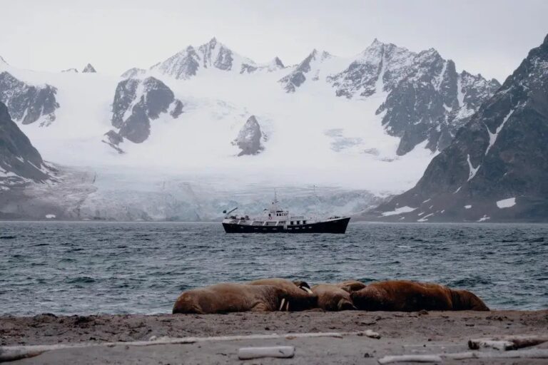 Expedition Yacht TOGO