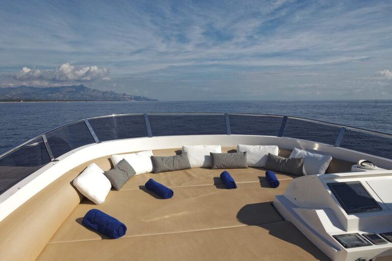 Fly Bridge Sunpad