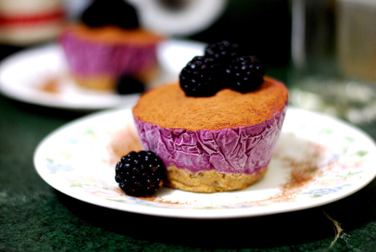 Frozen Vegan Blueberry Cheesecake