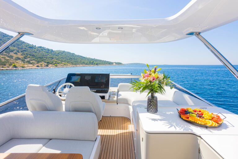 Flybridge Area