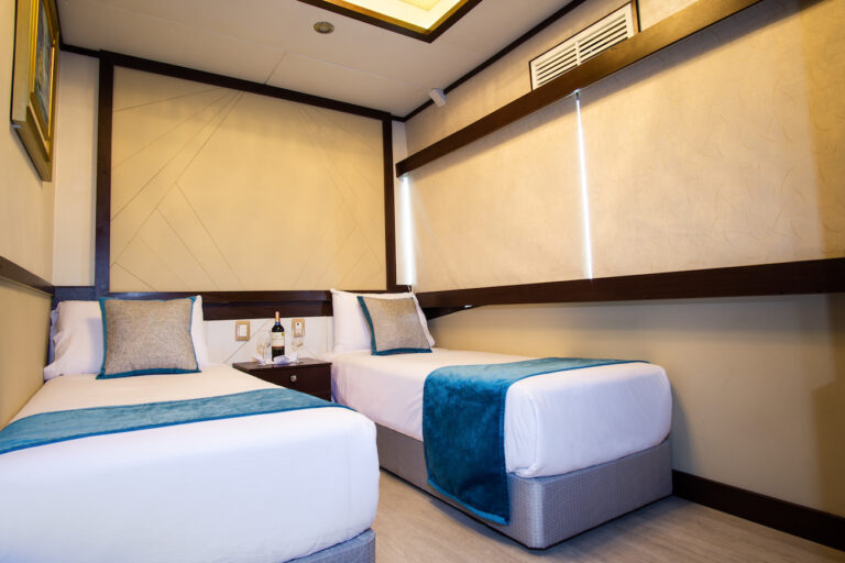 Twin Guest Cabin