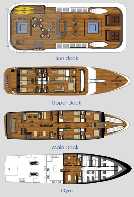 GRAND ODYSSEY - Layout