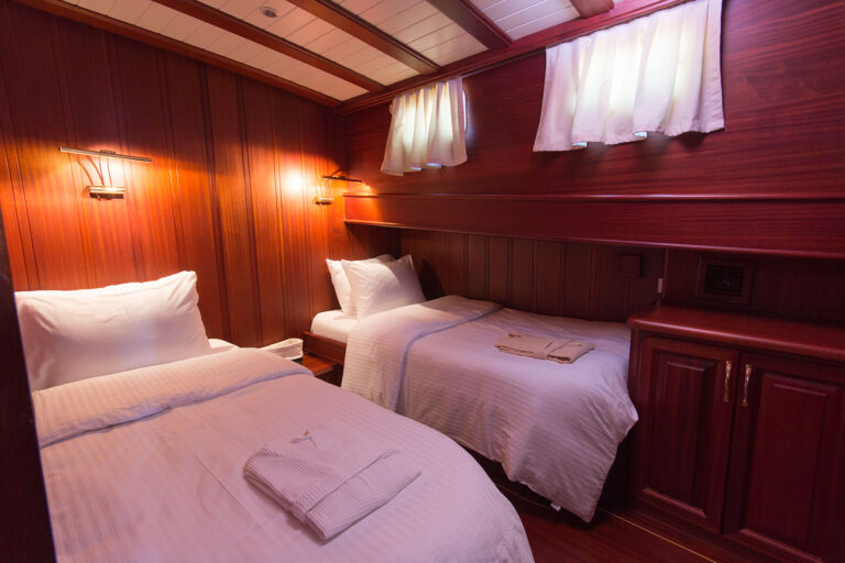 Twin Guest Cabin