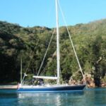 Lady Godiva Swan 60