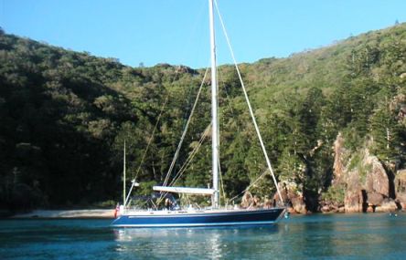 Lady Godiva Swan 60