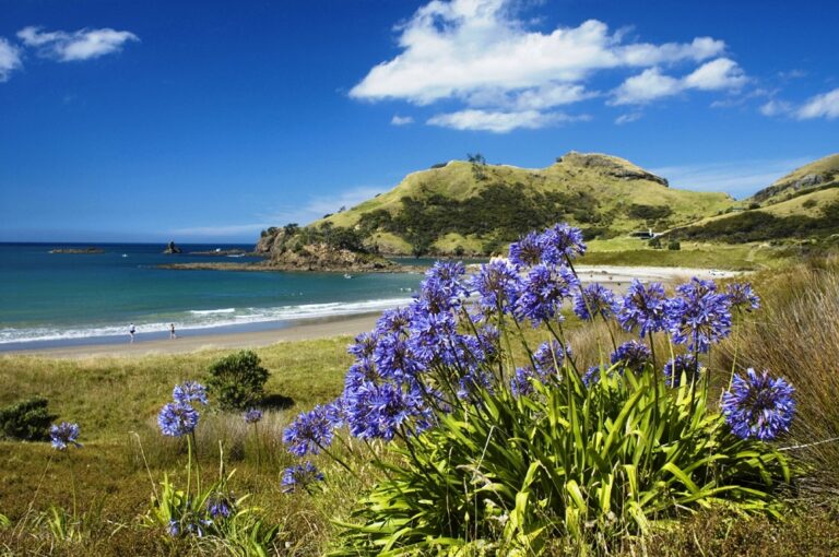 Great Barrier Island