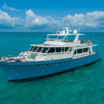 HALCYON SEAS