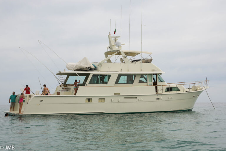 Charter yacht LADYHAWKE