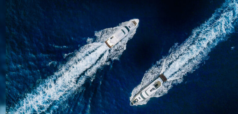 Horizon Motor Yacht Wild Duck And The Legion
