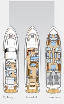 IFA Cannes Layout