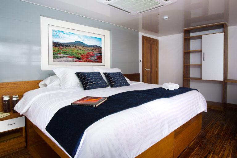 Guest Cabin - Double