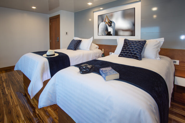 Guest Suite