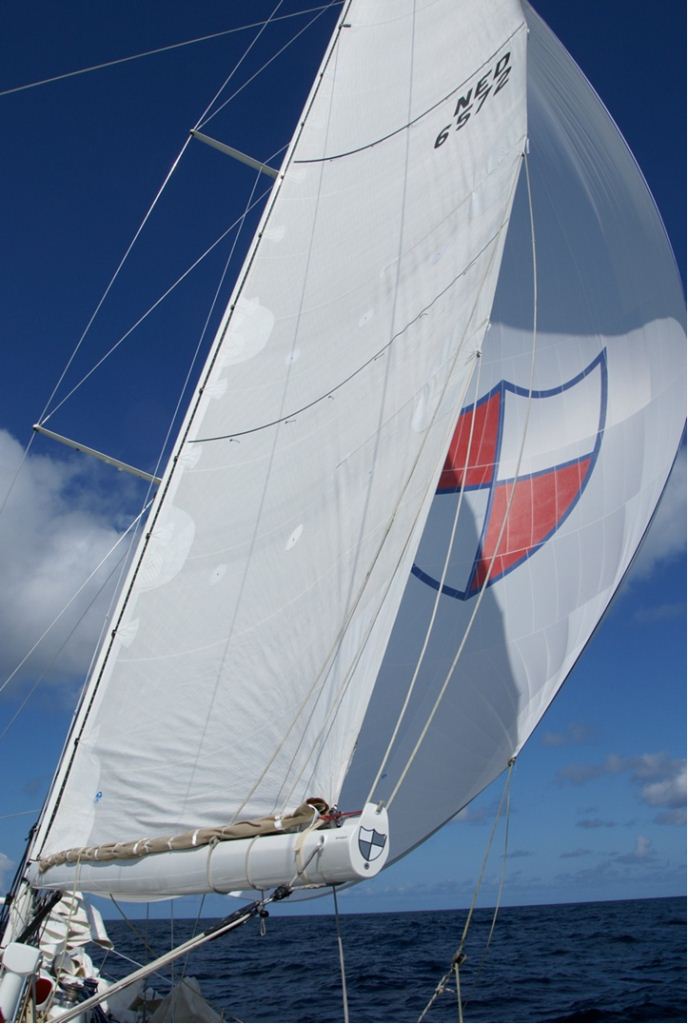 Kings Legend -  Spinnaker
