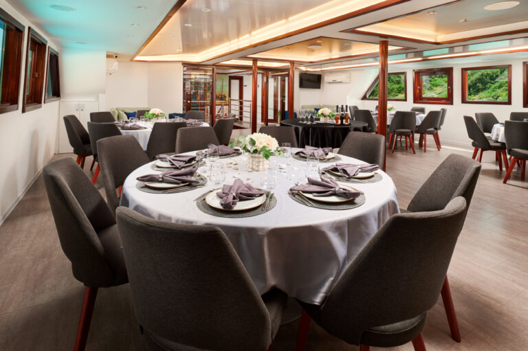 Elegant Dining Set Up